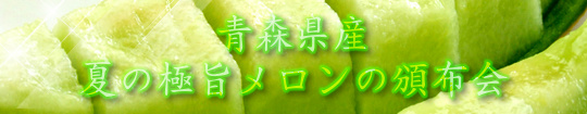 青森県夏の極旨メロンの頒布会