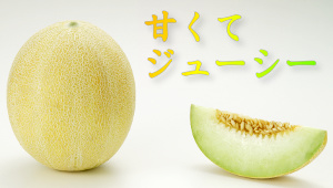 甘くてジューシー アムさんメロン