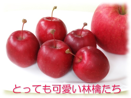 とっても可愛いりんごたち