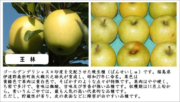王林