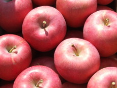 青森りんご ひろさきふじ