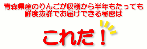 鮮度抜群でお届けできる秘密は