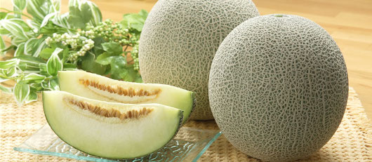 つがりあんメロン　ハニーゴルデン