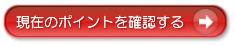 ポイント確認