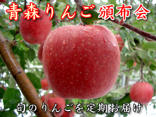 青森りんご頒布会