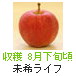 美紀ライフ