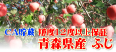 青森りんご ふじ 糖度保証 訳あり