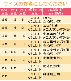 りんごサイズの目安表