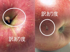 青森りんごひろさきふじ