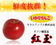 青森りんご紅玉