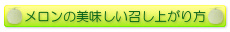 メロンの美味しい召し上がり方