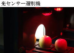 光センサー選別機
