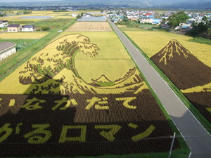 田んぼアート　田舎館