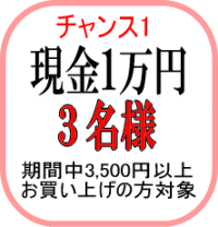 現金一万円を３名様に