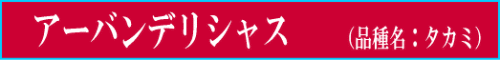 アーバンデリシャスメロン