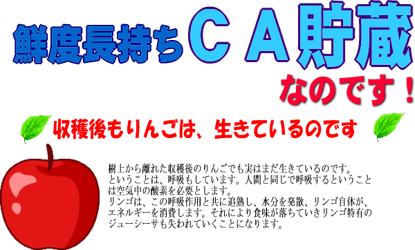 ca貯蔵