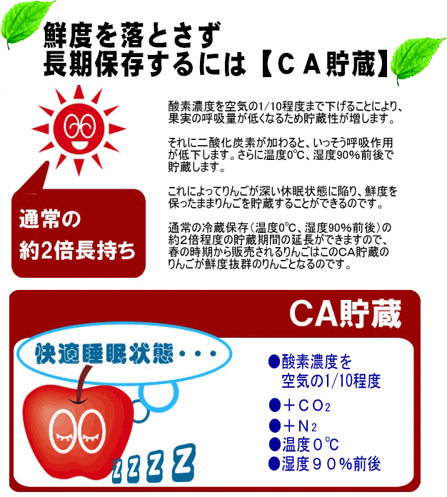ＣＡ貯蔵
