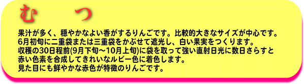 むつ
