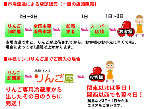 りんごがお手元に届くまで