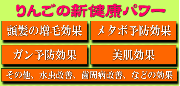 りんごジュースダイエット奮闘記 蜜入り 葉とらず 訳ありりんごを青森から産地直送 林檎リンゴりんご屋