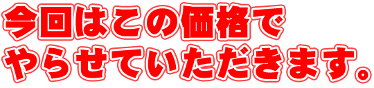 今回はこの価格

でやらせていただきます。