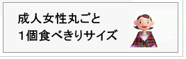 大きさの目安