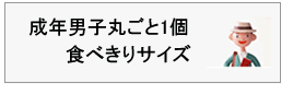 大きさの目安