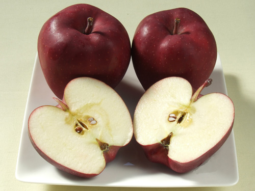 スターキング蜜