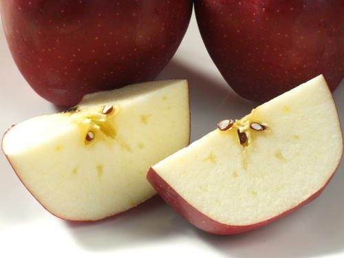 スターキング蜜1