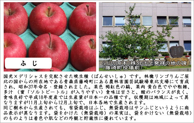 ギフト贈答品 蜜入り・葉とらず・訳ありりんごを青森から産地直送 /林檎リンゴりんご屋
