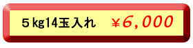 ５キロ１４玉入れ６，０００円