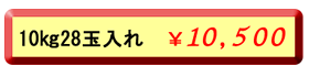 １０キロ２８玉入れ１１，０００円