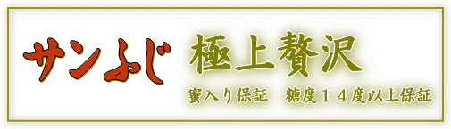 蜜入り糖度保証サンふじ