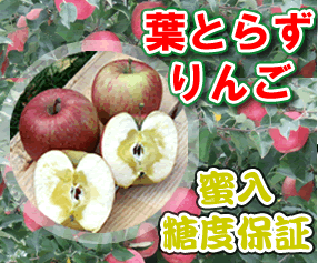 送料無料!蜜入り・糖度14度以上保証 極上りんご 蜜入り・葉 送料無料!蜜入り・糖度14度以上保証 極上りんご 蜜入り・葉