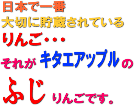 ギフト贈答品 蜜入り 葉とらず 訳ありりんごを青森から産地直送 林檎リンゴりんご屋 ギフト贈答品 蜜入り 葉とらず 訳ありりんごを青森から産地直送 林檎リンゴりんご屋