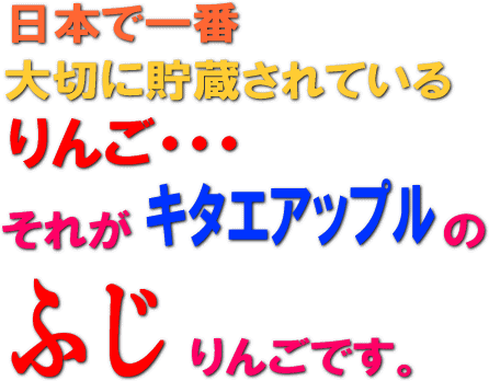 キタエアップル　いかりりんごふじ