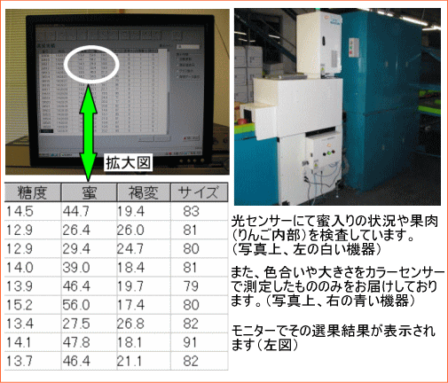 光センサー選果機