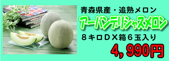青森県産アーバンデリシャスメロンギフト贈答品