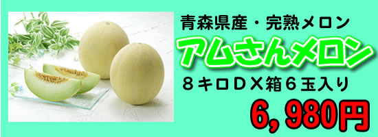 青森県産・アムさんメロンギフト贈答品送料無料