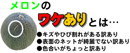 メロン訳あり