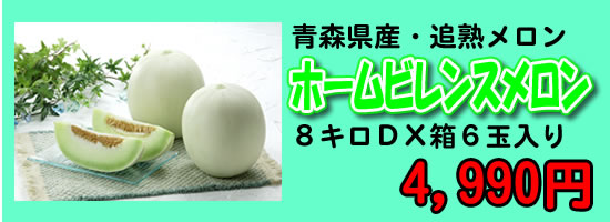 青森県産ホームビレンスメロンギフト贈答品