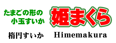 たまご形の小玉すいか　姫まくら