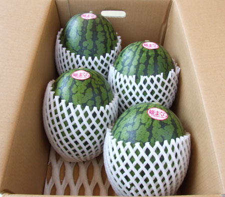 姫まくら4玉入り