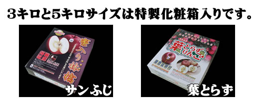 送料無料!蜜入り・糖度14度以上保証 極上りんご 蜜入り・葉 送料無料!蜜入り・糖度14度以上保証 極上りんご 蜜入り・葉