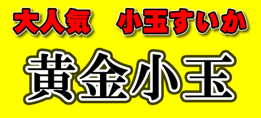 黄金小玉すいか