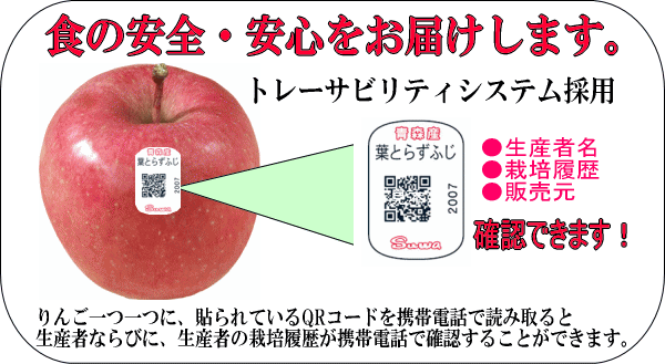 青森県産葉とらずりんご　黄葉ふじ　トレーサビリティ