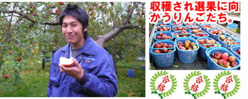 津軽りんご市場